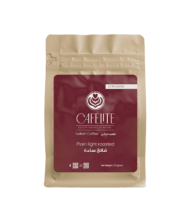 standard plain light 100